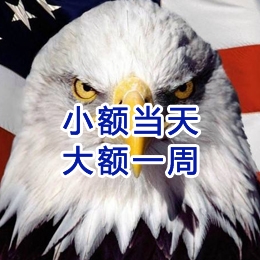 谢家集要账公司